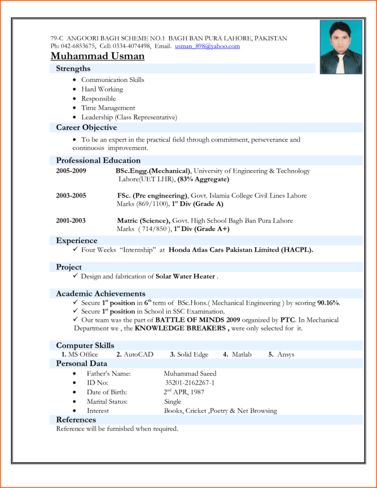 Curriculum Vitae Format Doc India