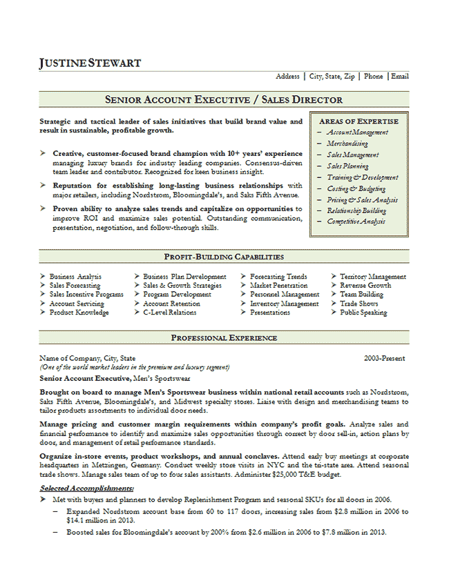 Sales Executive Resume Examples