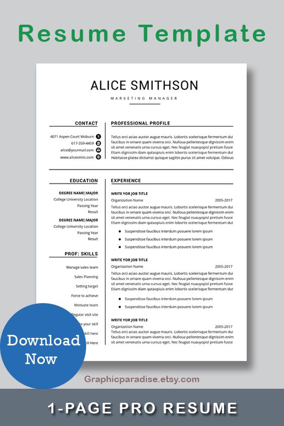 One Page Resume Sample Download