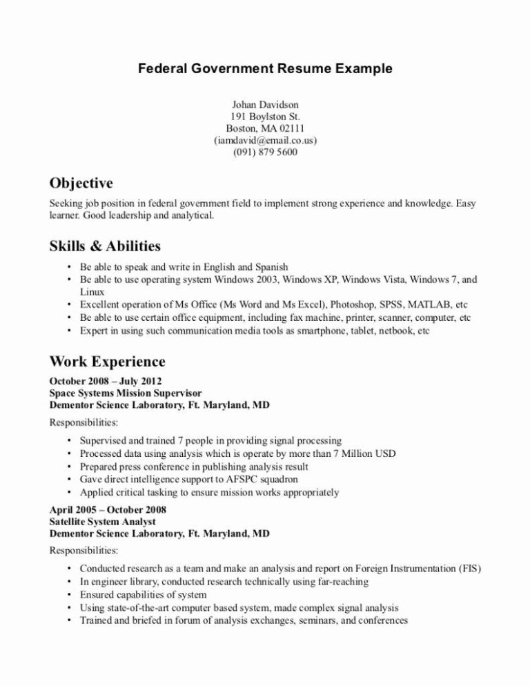 Best Federal Resume Example