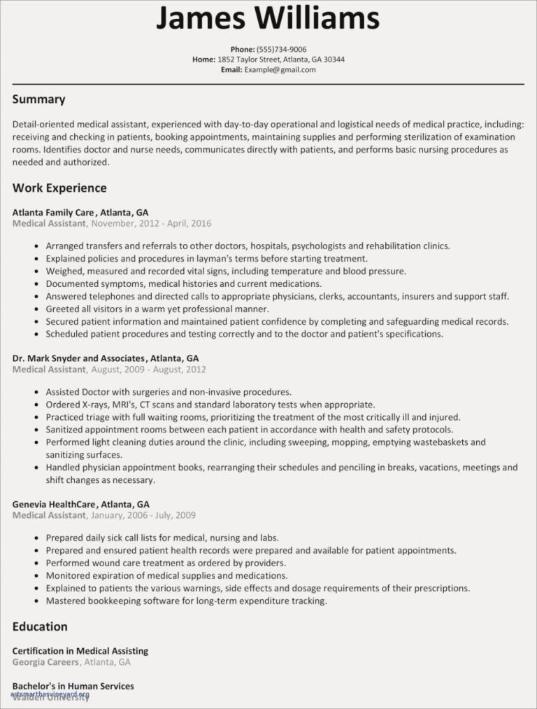 Resume Examples 2019 Word