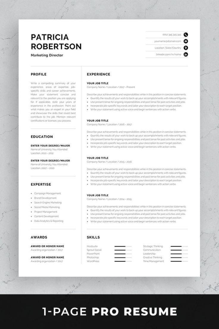 One Page Resume Format
