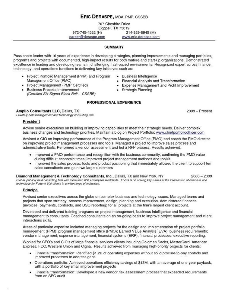 Cio Resume Summary Examples