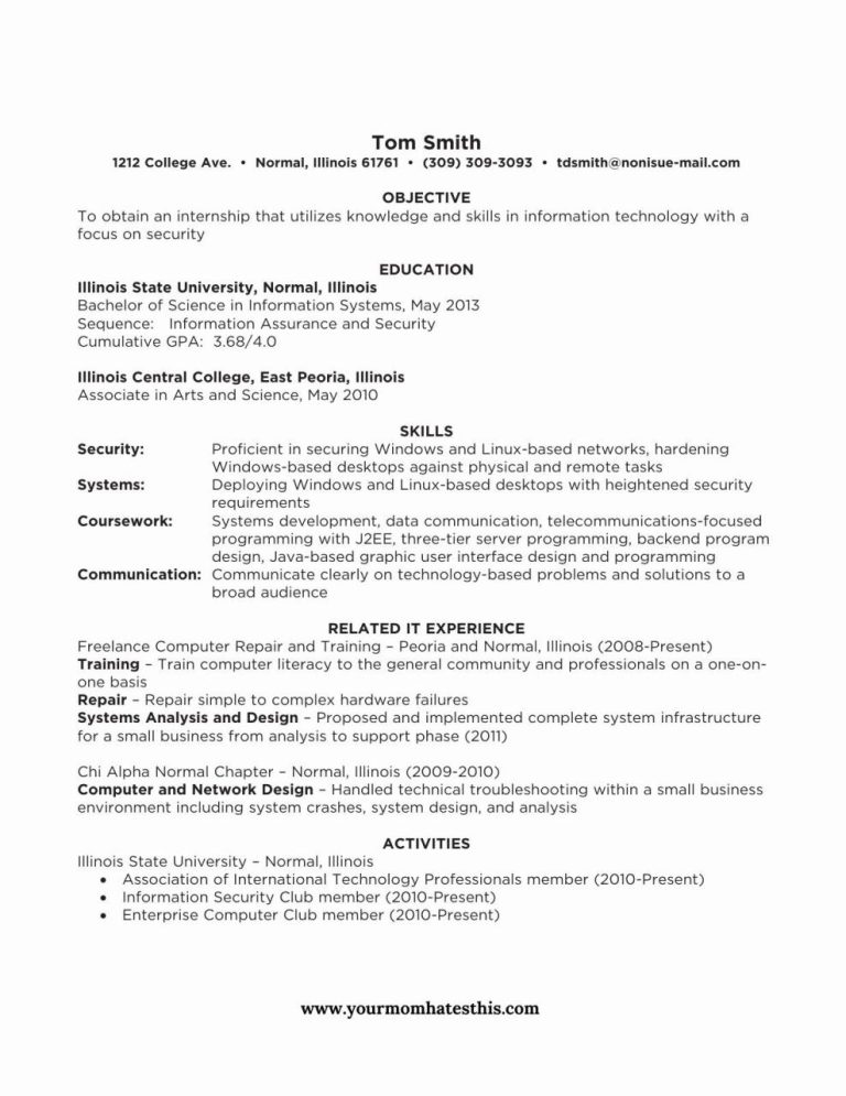 Formal Resume Sample Format