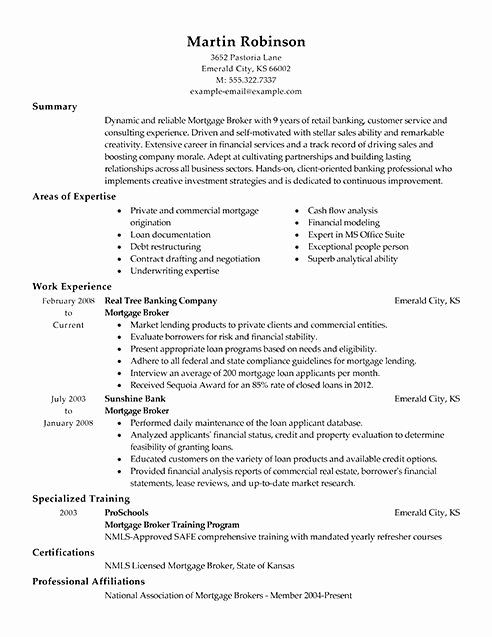 Real Estate Resume Summary Examples