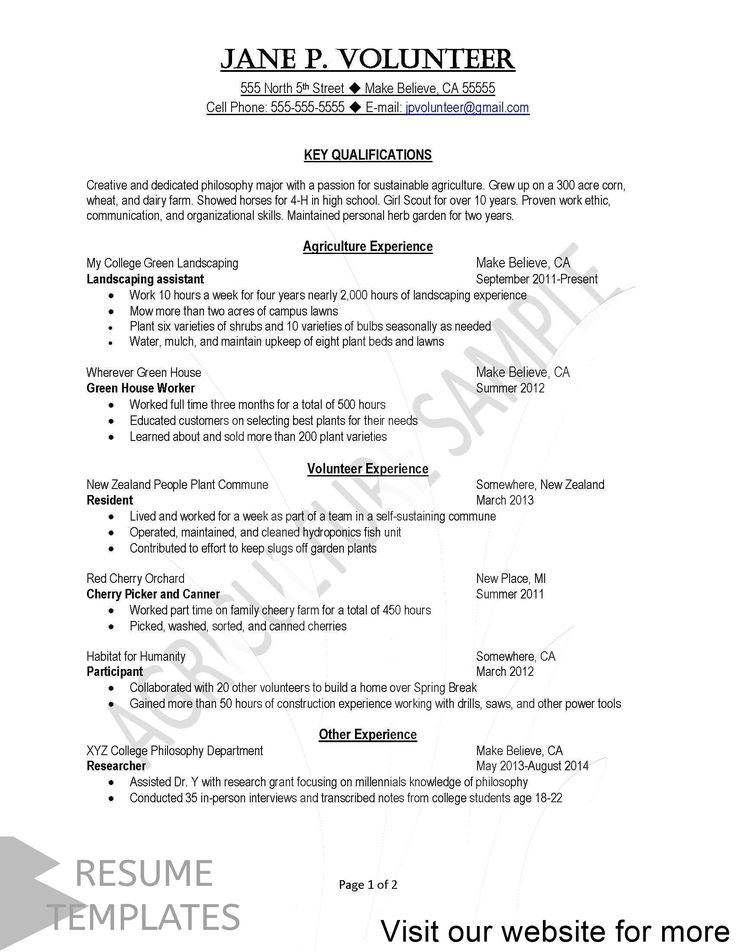 12 How To Make A Good Functional Resume References Coverletterpedia 2554