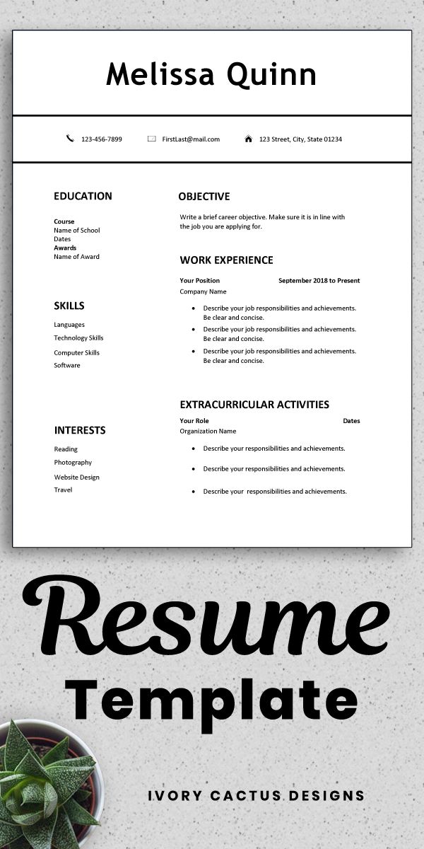 One Page Resume Sample Word