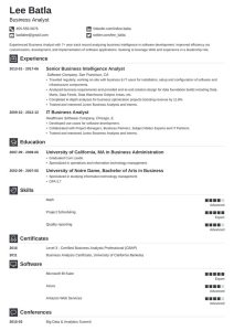 business analyst resume template iconic Resume no experience