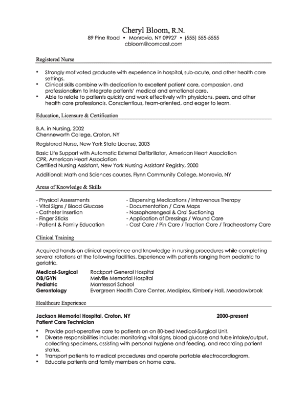 Combination Resume Format Examples