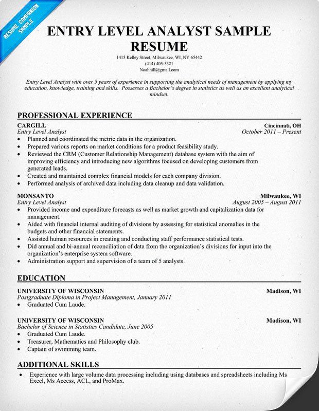 Entry Level Data Analyst Resume Template
