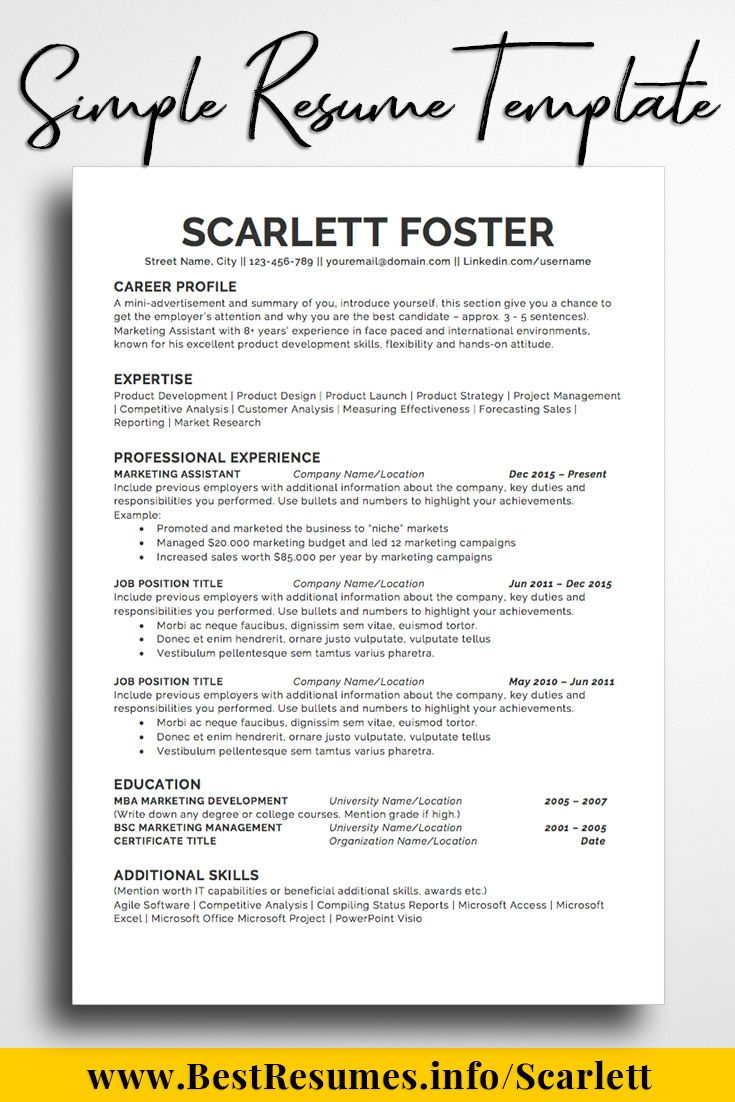 One Page Cv Format
