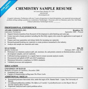 Bsc Chemistry Fresher Resume Format Download BSC IT Resume Format for