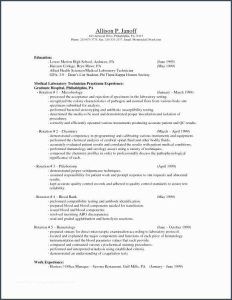 Resumes For Stay At Home Moms With No Work Experience Resume Examples