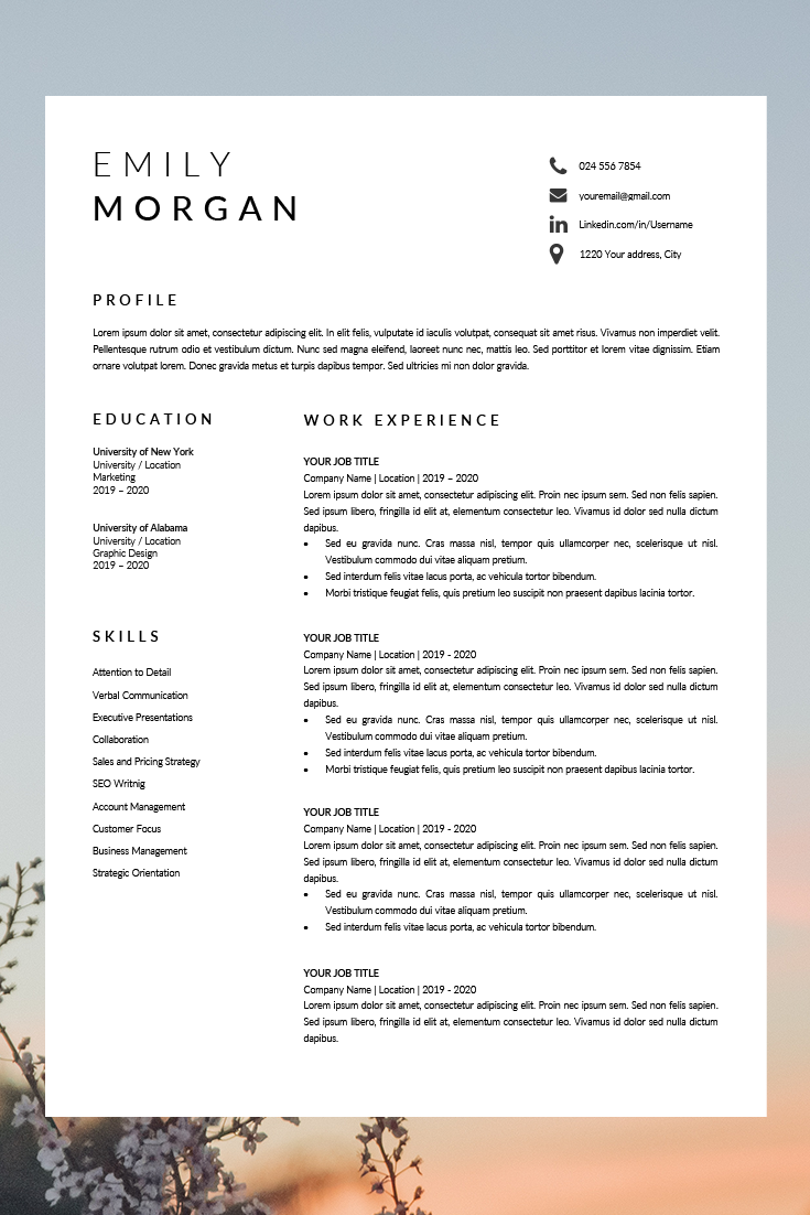 Best Resume Templates For Professionals
