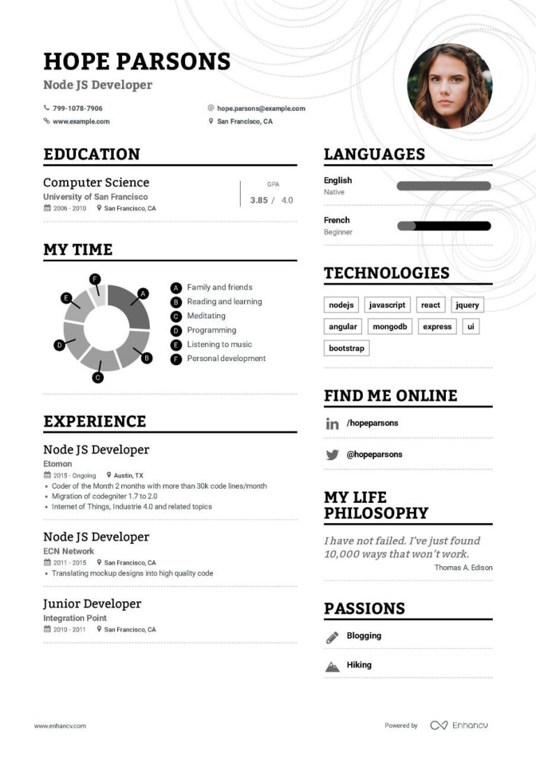 Developer Resume Examples 2019