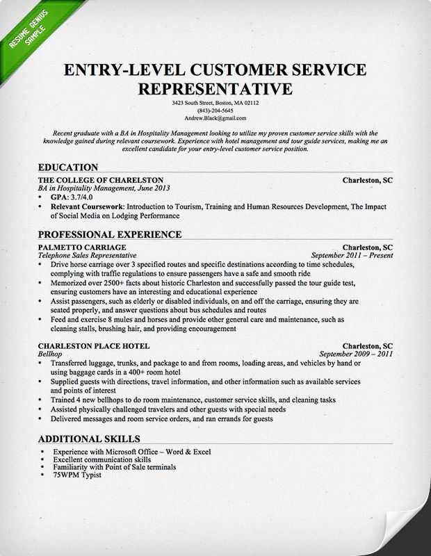 It Project Manager Resume Sample Doc