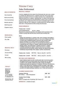 Professional Resume Example Sample Job Description Work History