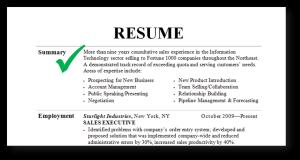 Resume Summary Examples
