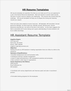 Resume Format For Security Guard Young Professional Resume Office