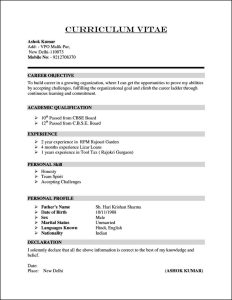 Example Cv No Qualifications CV templates
