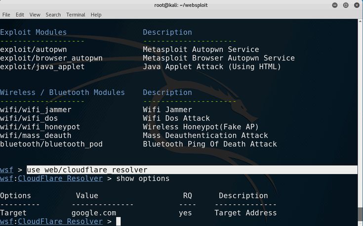 How To Execute A Program In Command Line Kali Linux