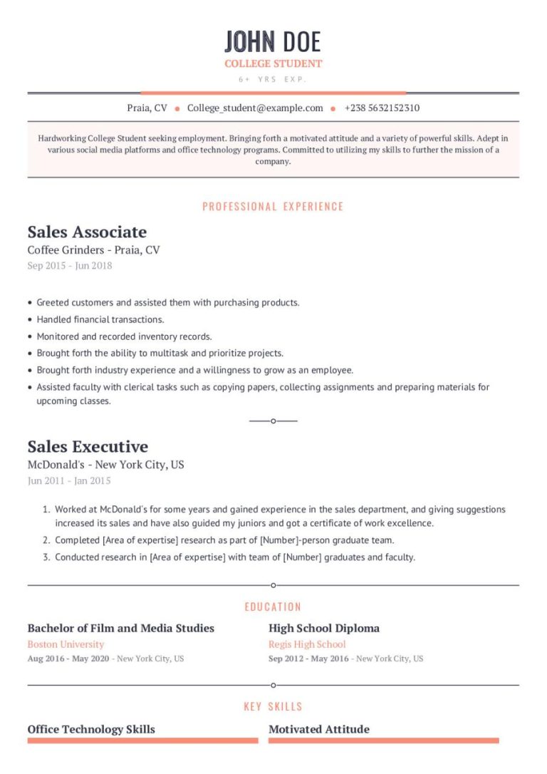 What To Write In Summary Of Resume For College Students