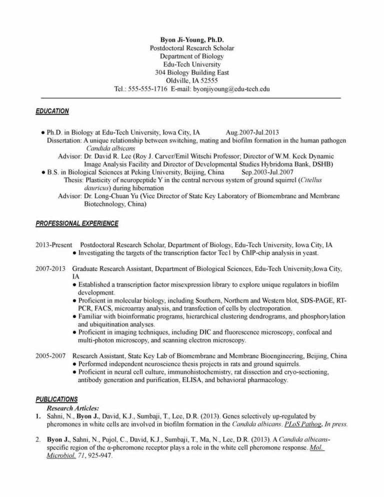 Research Cv Examples Academic