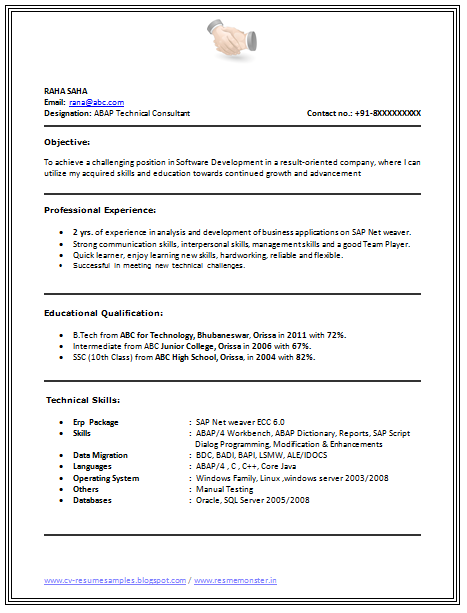 Best Example Of Professional Cv