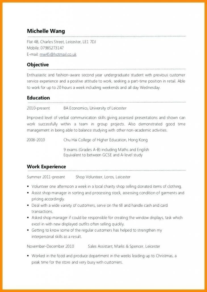 Fashion Student Cv Examples