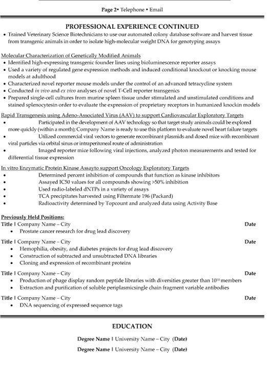 Research Assistant Cv Examples