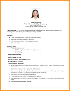 Resume Objective Sample Computer Skills Examples For Example Your pc