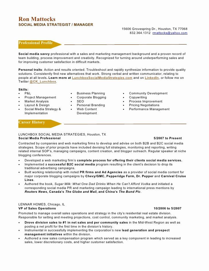 Copywriter Resume Profile Examples