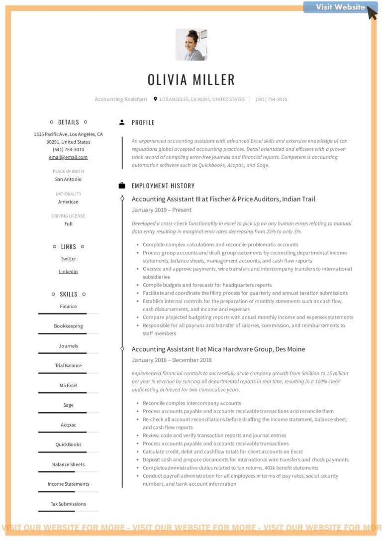 Assistant Auditor Resume Example