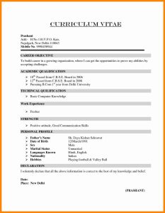 A Professional Resume For Fresher