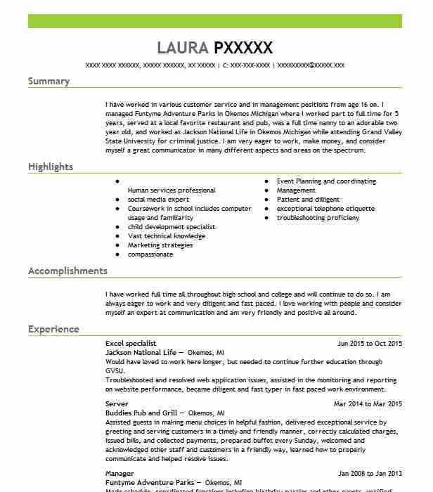 Microsoft Excel Resume Template Database Letter Templates