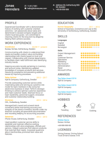Professional summary example Resume profile, Resume summary examples
