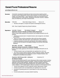 Template for Summary Report Professional 41 Awesome Resume Background