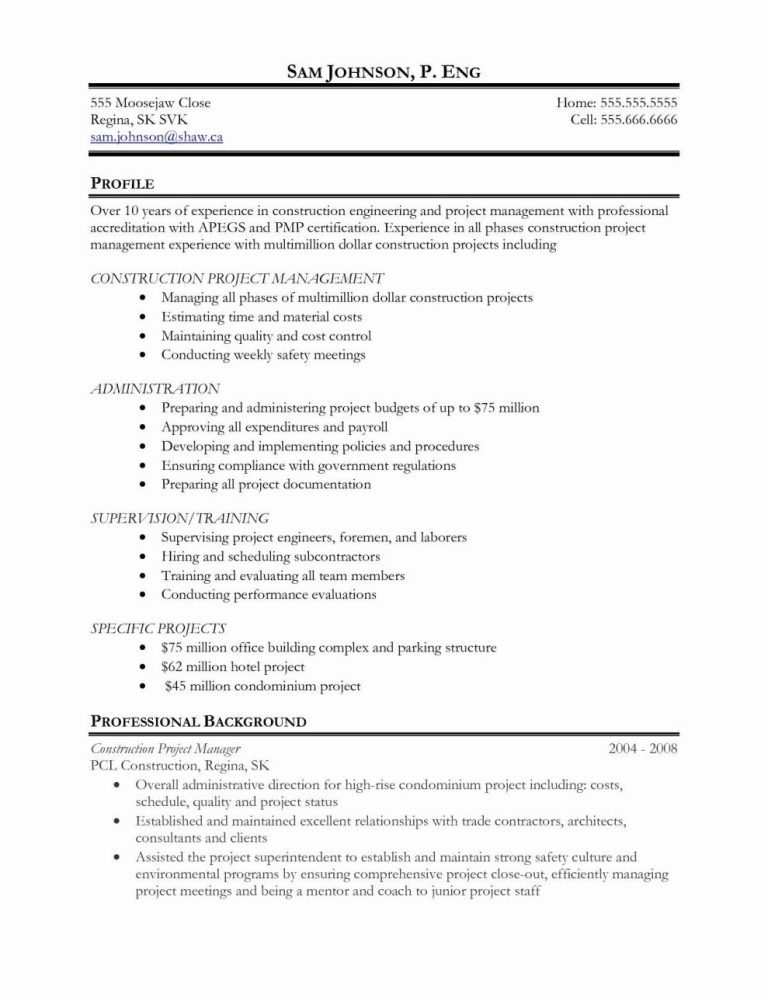 Assistant Project Manager Resume Sample
