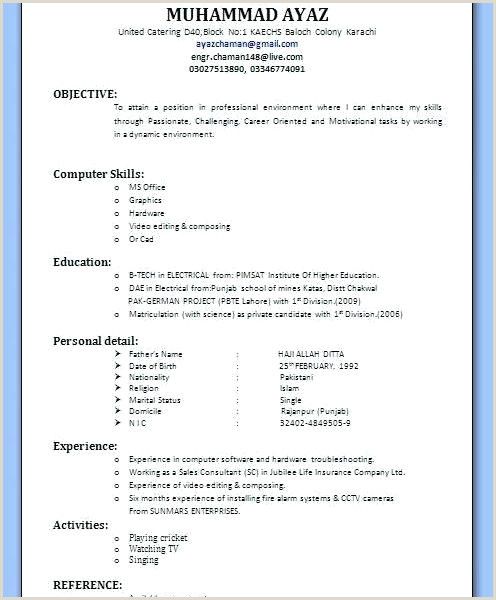 Private Banking Resume Template