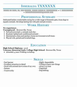 Curriculum Vitae For Students With No Experience Sample