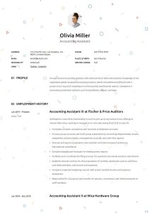 Accounting Assistant Resume & Writing Guide +12 Examples PDF