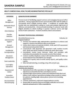 Resume Summary Statement Examples Healthcare Best Resume Examples
