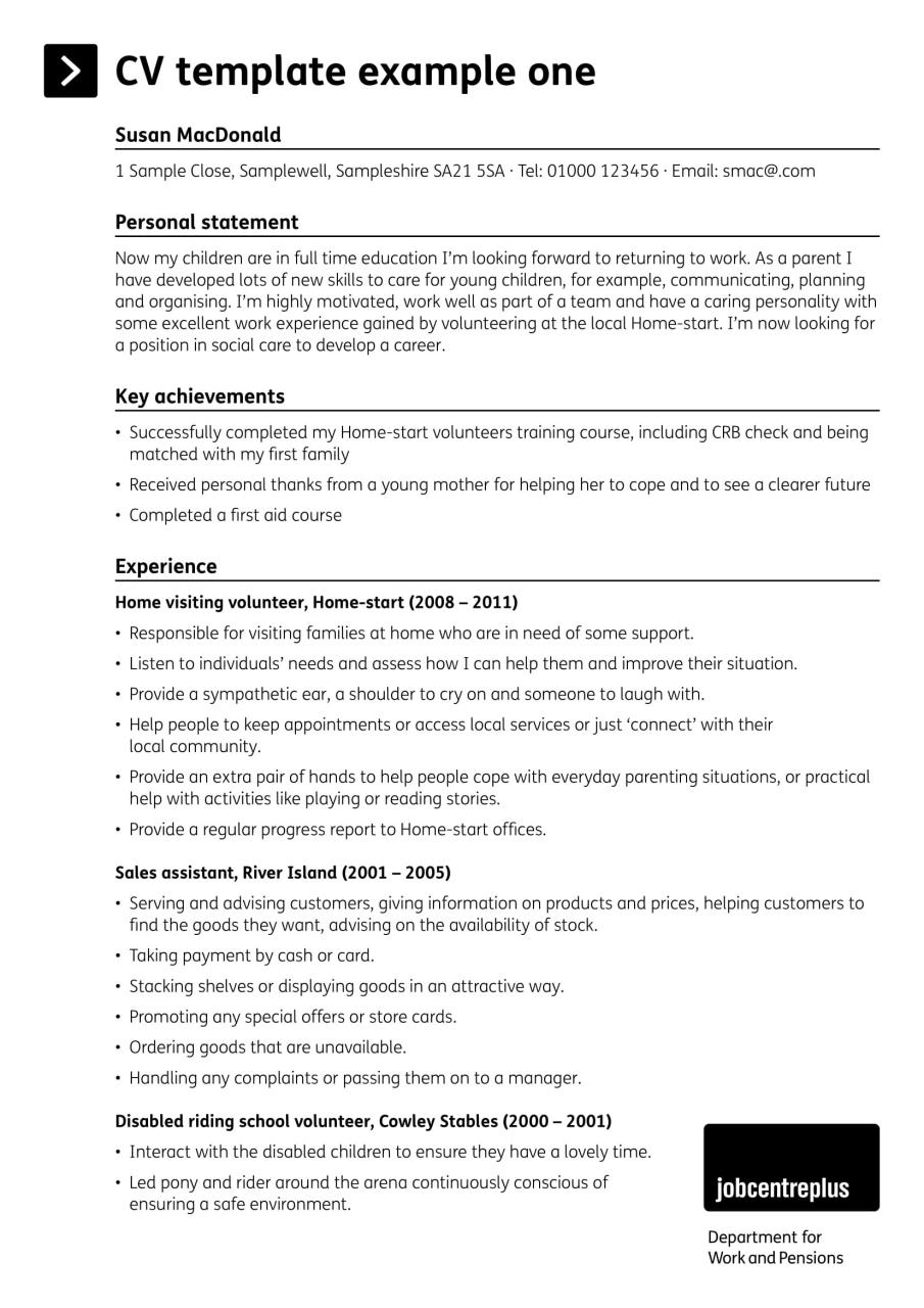 Cv Resume Profile Summary Sample Good Resume Examples