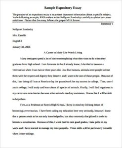 FREE 6+ SelfIntroduction Essay Examples & Samples in PDF DOC Examples