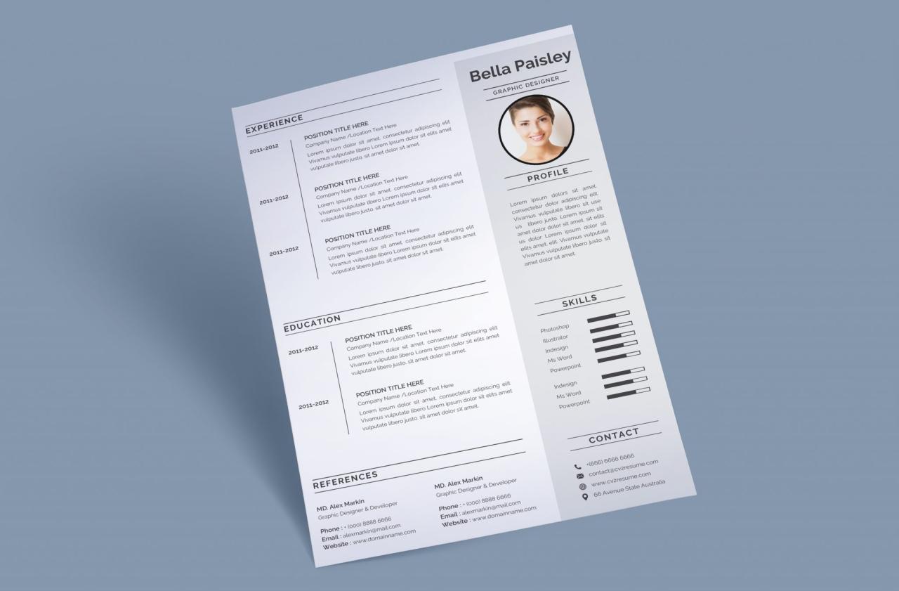 Swiss Resume / CV Template Word format to Download
