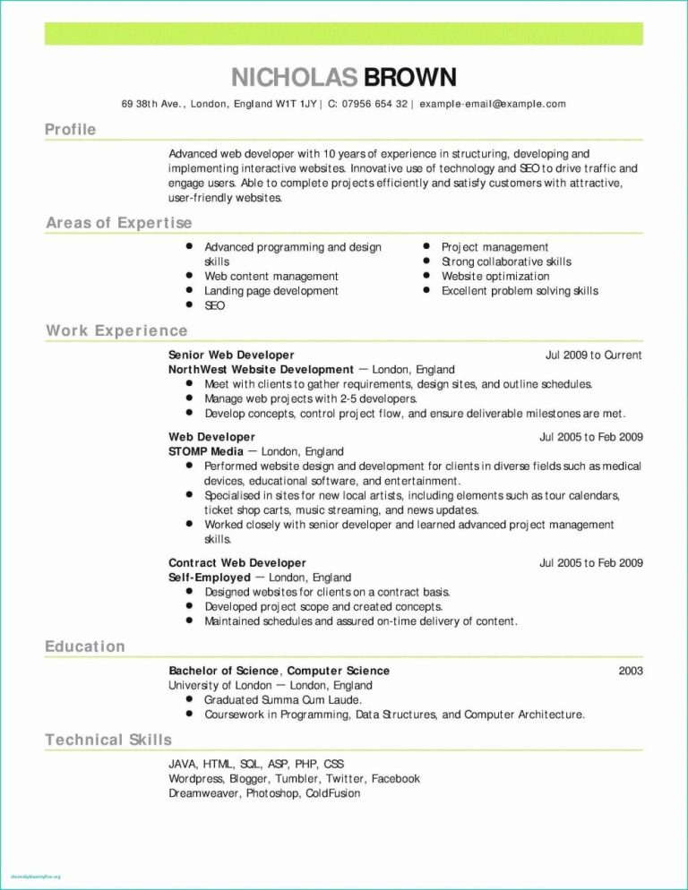 Computer Science Cv Template Free