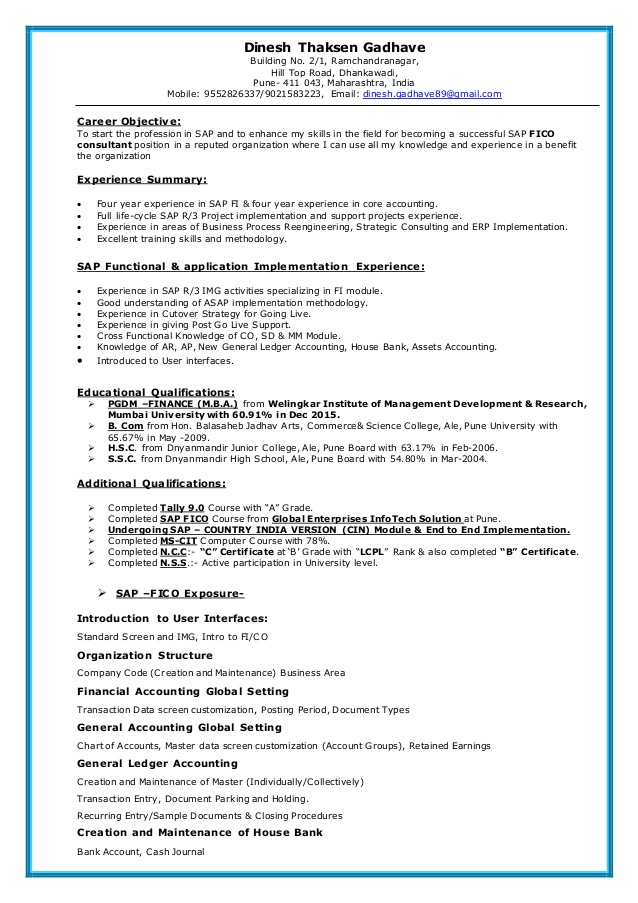 Junior Project Manager Resume Objective