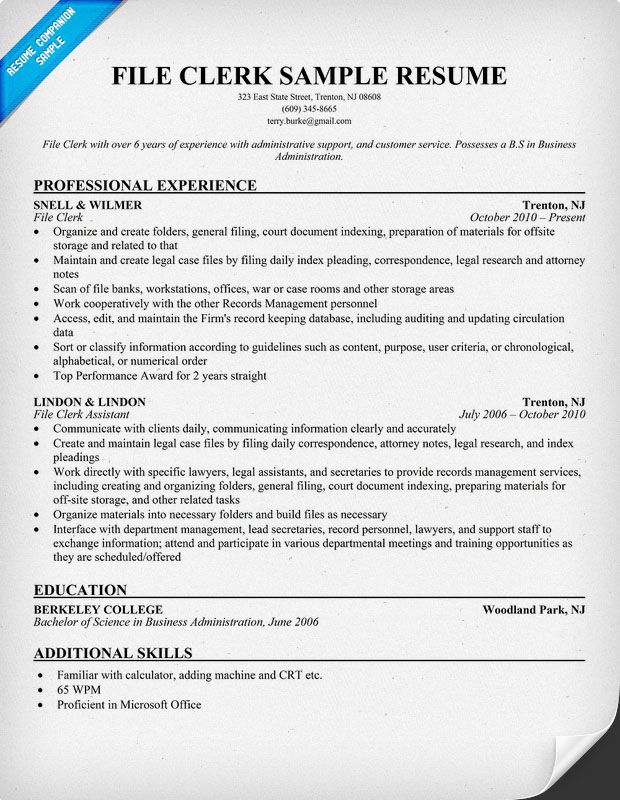 Clerical Resume Examples Free