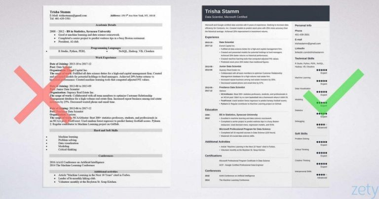 Resume Summary Examples Reddit