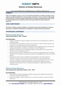 Human Resource Resume Objective Examples Best Of Director Of Human
